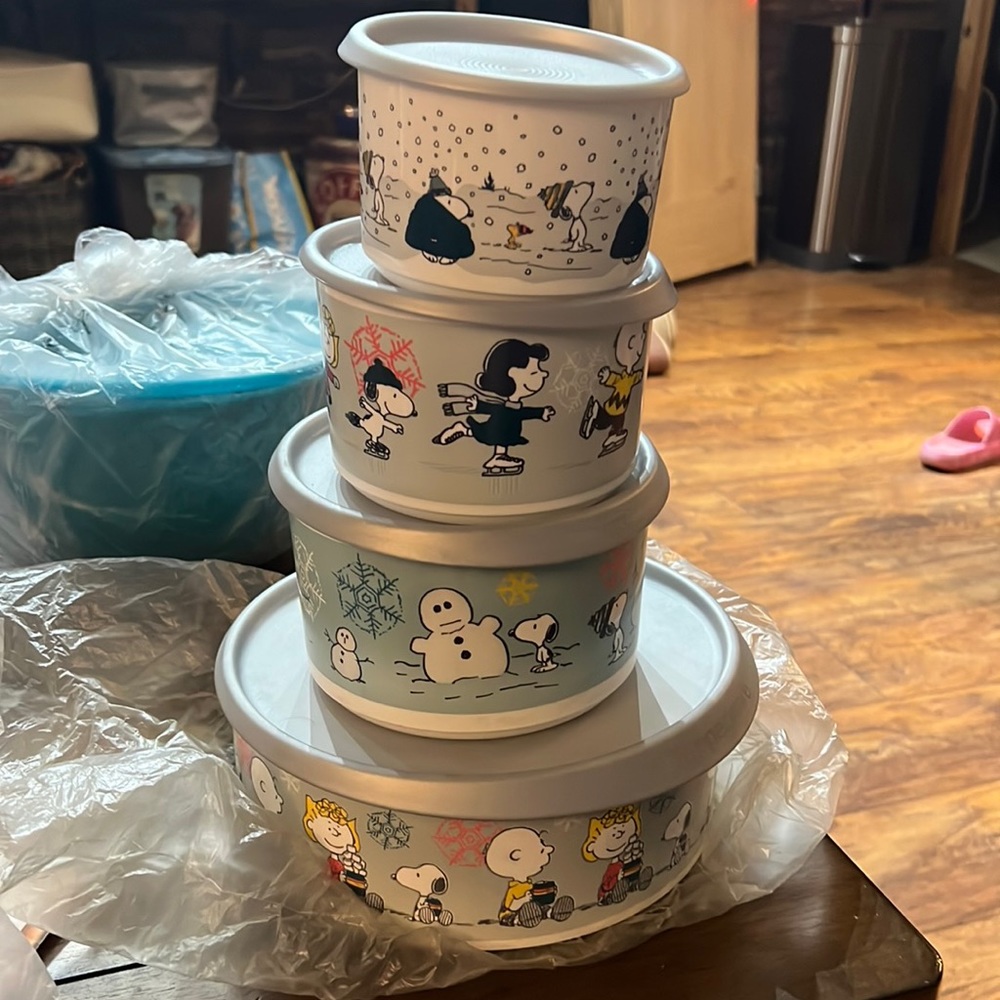Rare Tupperware peanuts canister set from 2018